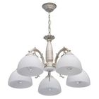 Подвесная люстра 450018305