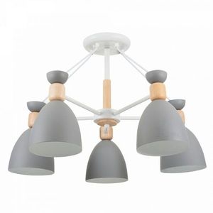 Потолочная люстра Delia FR5033CL-05W