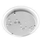 Потолочный светильник A4890PL-2CC