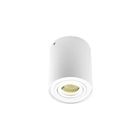 Точечный светильник DL18613/01WW- R White