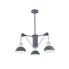 Потолочная люстра FR5008PL-03GR