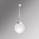 Уличный светильник подвесной G25.120.000.WYE27