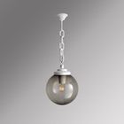 Уличный светильник подвесной G25.120.000.WZE27