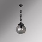 Уличный светильник подвесной G30.120.000.AZE27