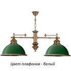 Подвесной светильник LID-ZW-2(P)