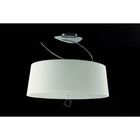 Подвесная люстра 1645