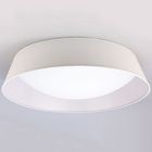 Потолочный светильник 4963E