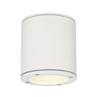 Потолочный светильник 231541