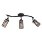 Спот V4315-1/3PL