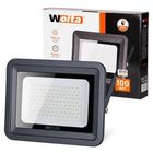 Прожектор уличный WFL-100W/06