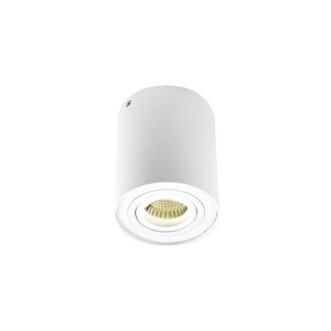 Светильник накладной DL18613/01WW- R White